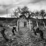Gevrey Chambertin 6072.jpg